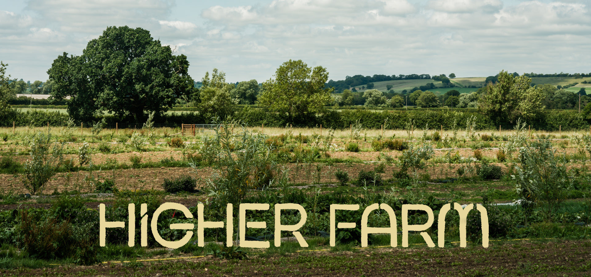 slider image 1621243260e1af0c20-2